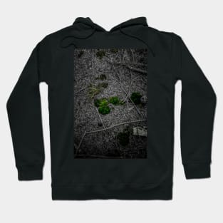 Forest Floor Colour Pop Hoodie